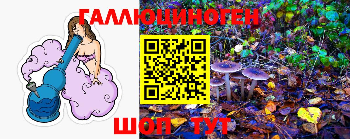 Галлюциногенные грибы GOLDEN TEACHER Удомля