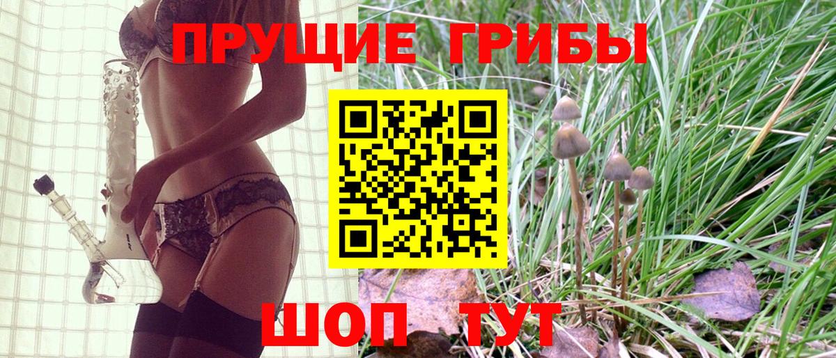 Псилоцибиновые грибы MAGIC MUSHROOMS  Вход с VPN  Удомля 