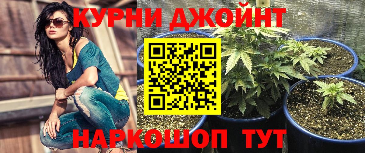 МАРИХУАНА конопля  Вход с VPN  Удомля  Марихуана конопля 